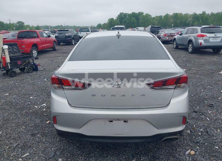 Photo 16 of 2019 Hyundai Sonata SEL (VIN 5NPE34AF2KH783061)