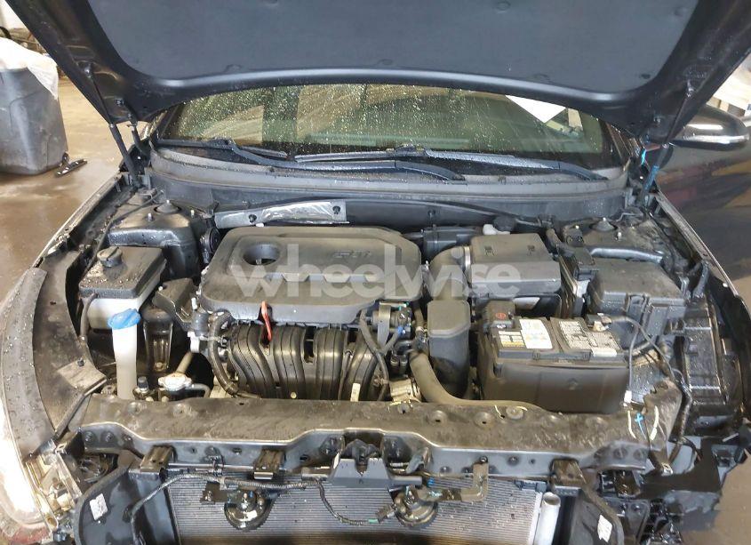 Photo 10 of 2019 Hyundai Sonata SPORT (VIN 5NPE34AF2KH795453)