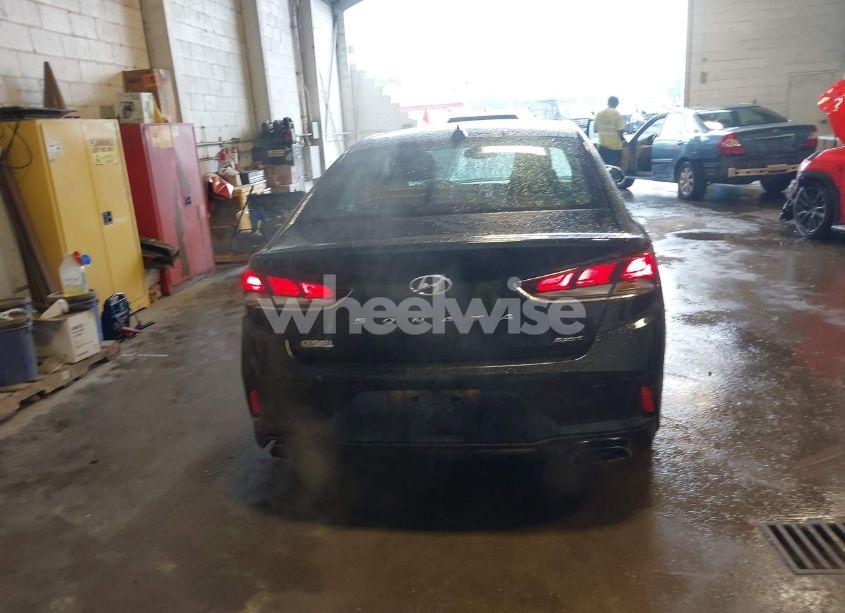 Photo 17 of 2019 Hyundai Sonata SPORT (VIN 5NPE34AF2KH795453)