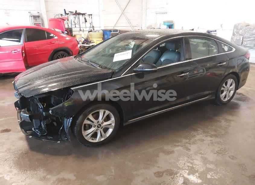 Photo 2 of 2019 Hyundai Sonata SPORT (VIN 5NPE34AF2KH795453)