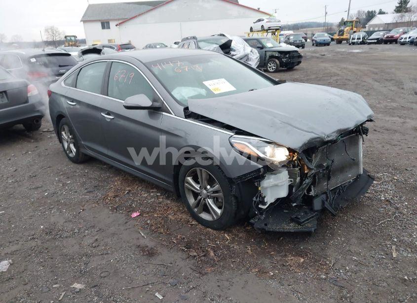 2019 Hyundai Sonata SEL (VIN 5NPE34AF2KH809108) main photo