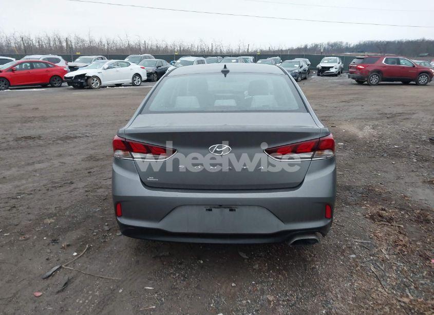 Photo 16 of 2019 Hyundai Sonata SEL (VIN 5NPE34AF2KH809108)