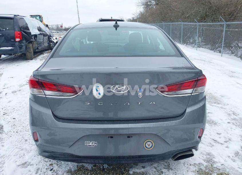 Photo 17 of 2019 Hyundai Sonata SEL (VIN 5NPE34AF2KH816737)