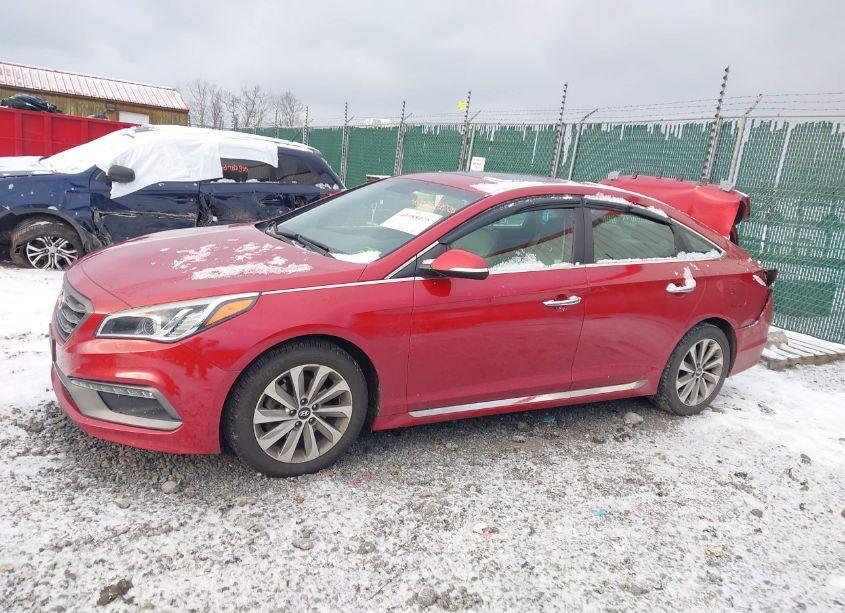 Photo 14 of 2017 Hyundai Sonata SPORT (VIN 5NPE34AF3HH566904)