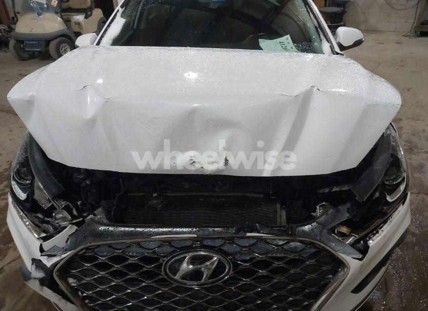 Photo 10 of 2019 Hyundai Sonata SEL (VIN 5NPE34AF3KH736461)