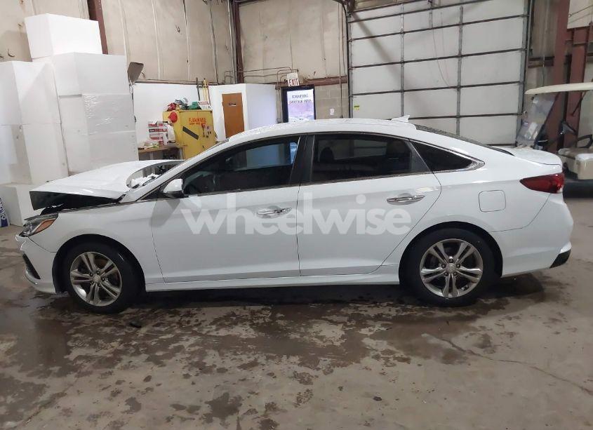 Photo 12 of 2019 Hyundai Sonata SEL (VIN 5NPE34AF3KH736461)