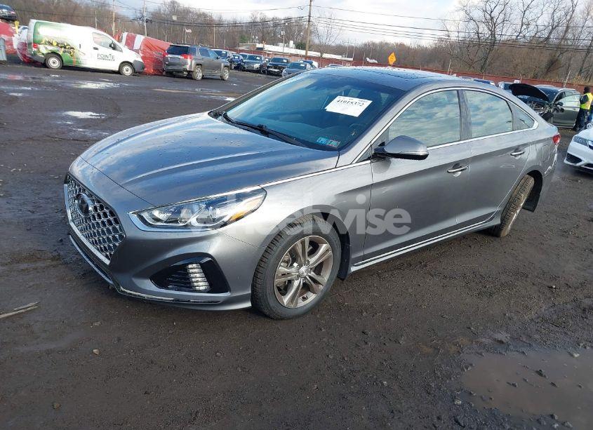 Photo 2 of 2019 Hyundai Sonata SPORT (VIN 5NPE34AF3KH820828)