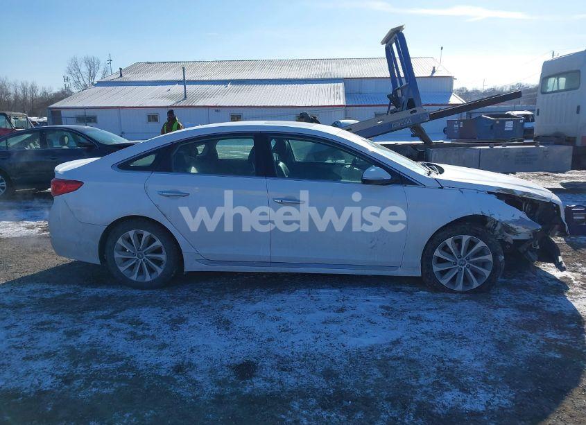 Photo 13 of 2017 Hyundai Sonata SPORT (VIN 5NPE34AF4HH438073)