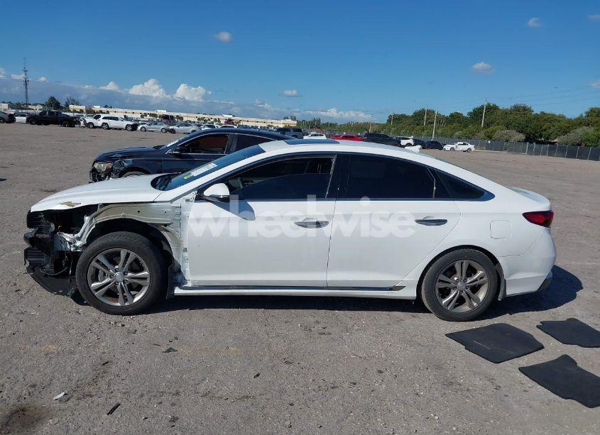 Photo 15 of 2018 Hyundai Sonata SPORT+ (VIN 5NPE34AF4JH701331)
