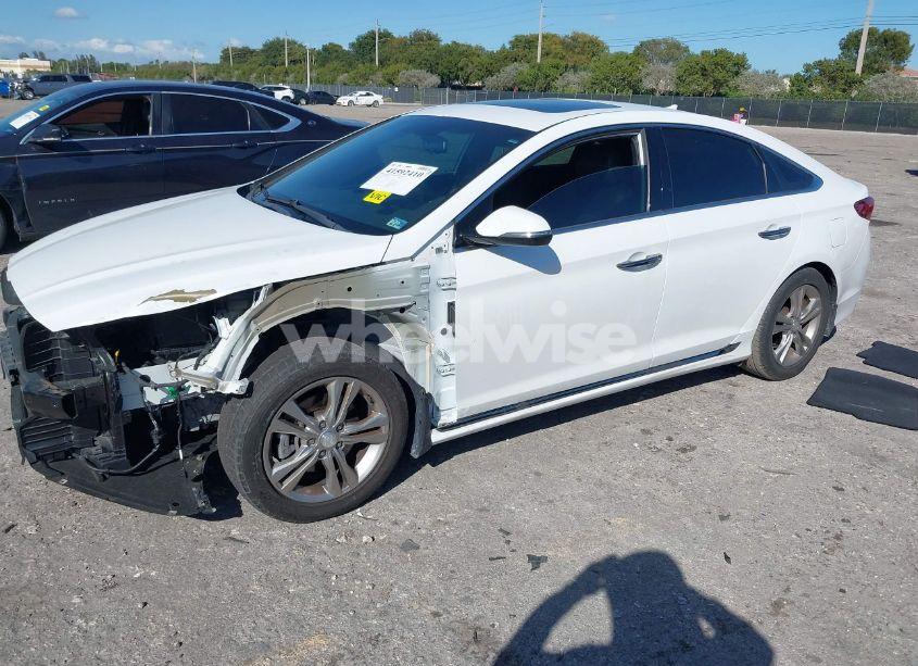 Photo 2 of 2018 Hyundai Sonata SPORT+ (VIN 5NPE34AF4JH701331)