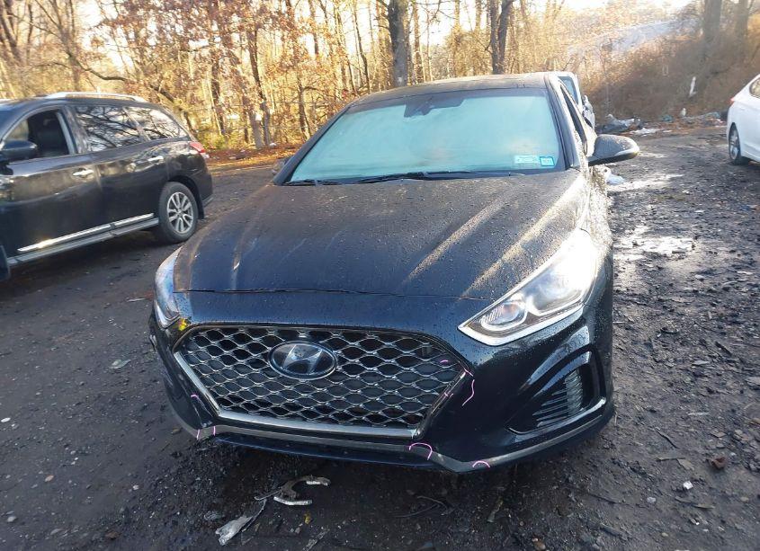 Photo 12 of 2019 Hyundai Sonata LIMITED (VIN 5NPE34AF4KH747243)