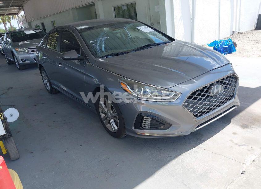 2019 Hyundai Sonata SEL (VIN 5NPE34AF4KH764415) main photo