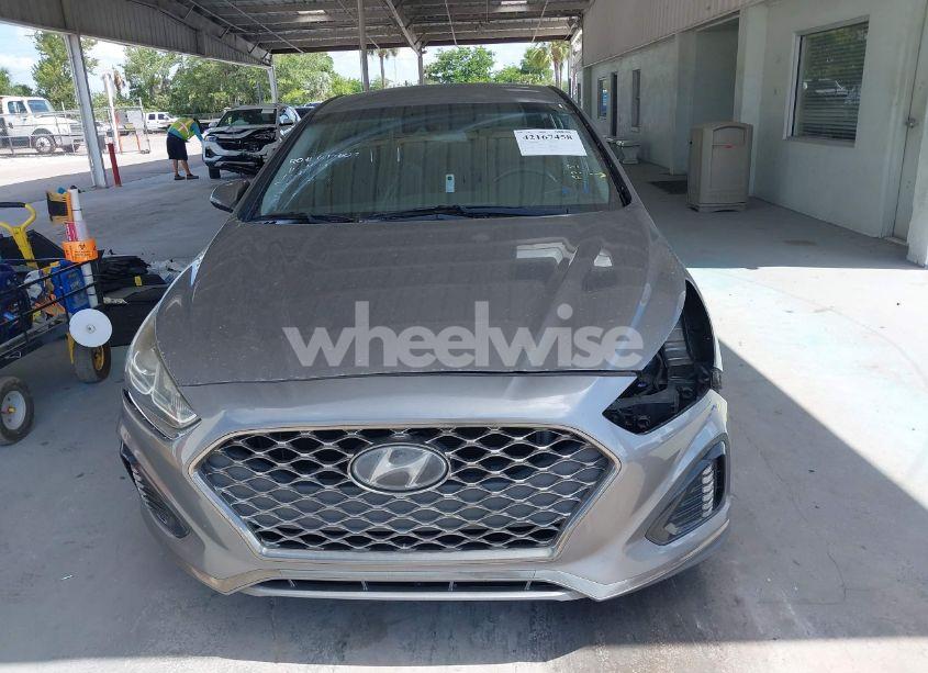 Photo 13 of 2019 Hyundai Sonata SEL (VIN 5NPE34AF4KH764415)