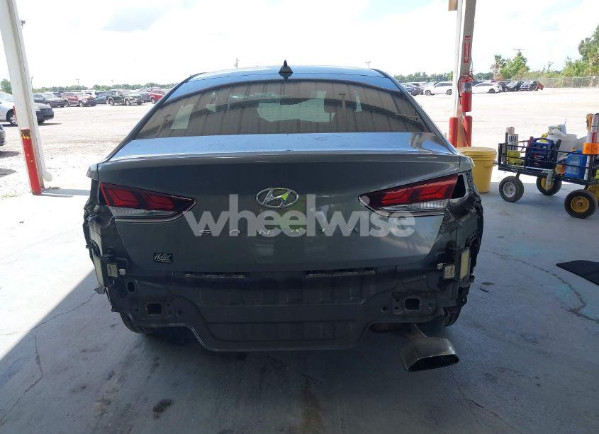 Photo 17 of 2019 Hyundai Sonata SEL (VIN 5NPE34AF4KH764415)