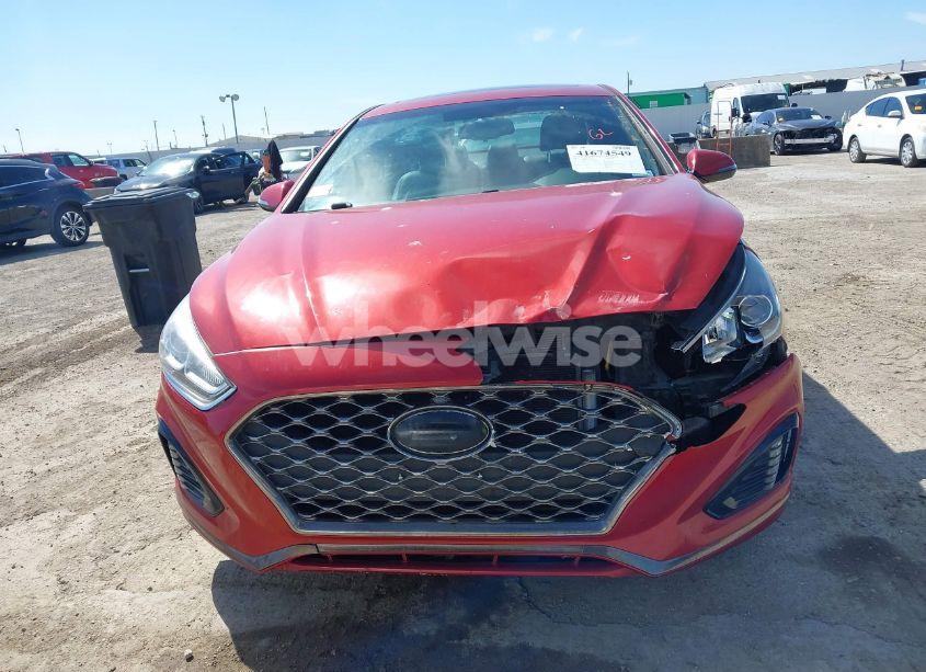 Photo 12 of 2019 Hyundai Sonata SPORT (VIN 5NPE34AF4KH769601)