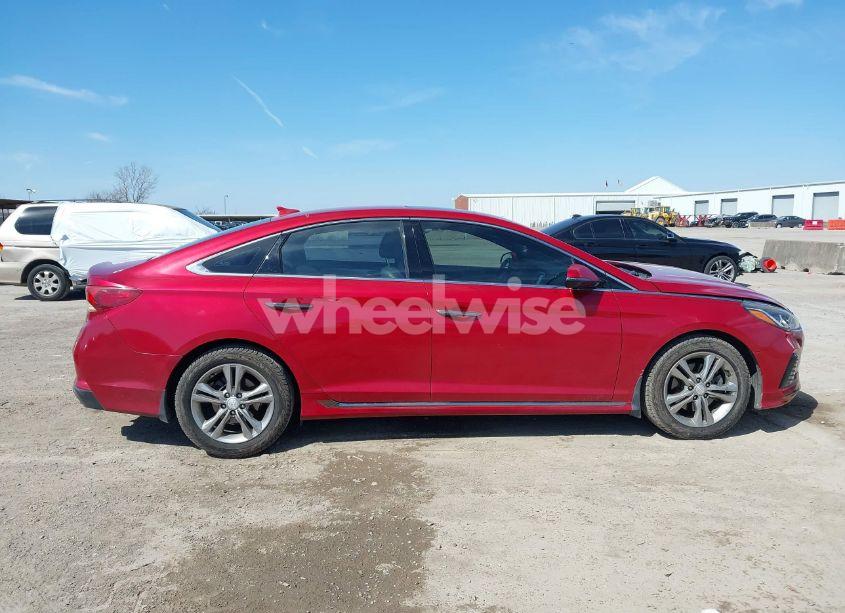 Photo 13 of 2019 Hyundai Sonata SPORT (VIN 5NPE34AF4KH769601)
