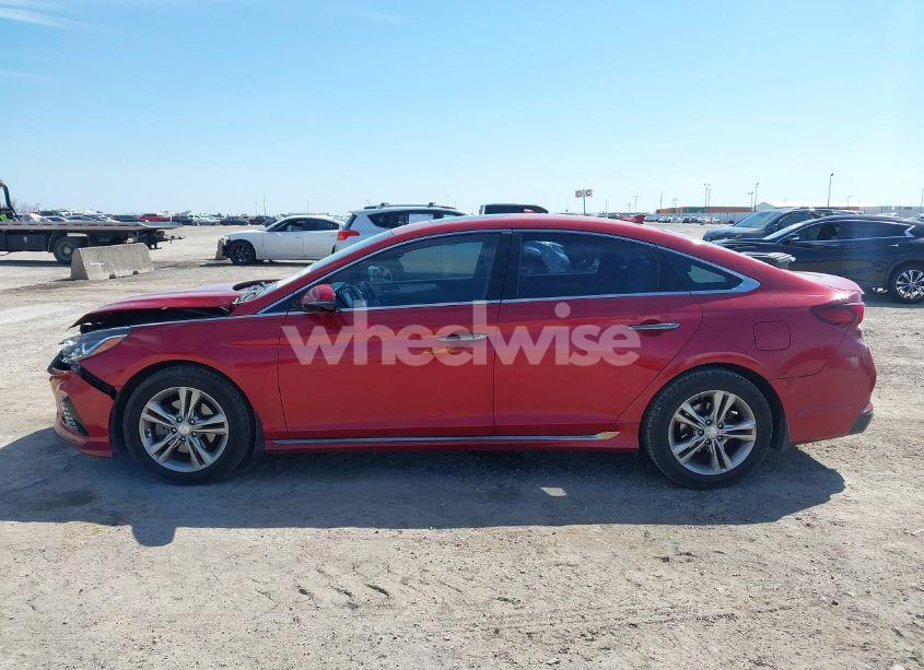 Photo 14 of 2019 Hyundai Sonata SPORT (VIN 5NPE34AF4KH769601)