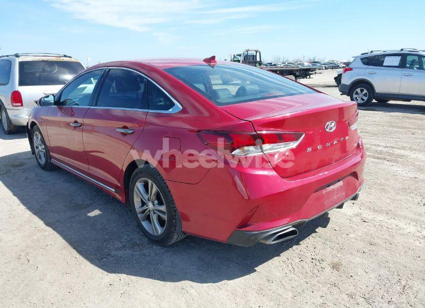 Photo 3 of 2019 Hyundai Sonata SPORT (VIN 5NPE34AF4KH769601)