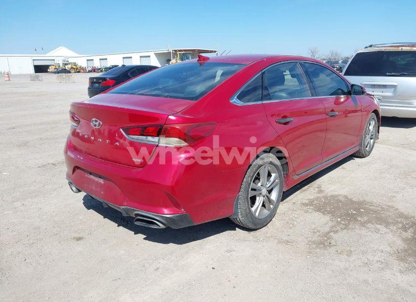 Photo 4 of 2019 Hyundai Sonata SPORT (VIN 5NPE34AF4KH769601)