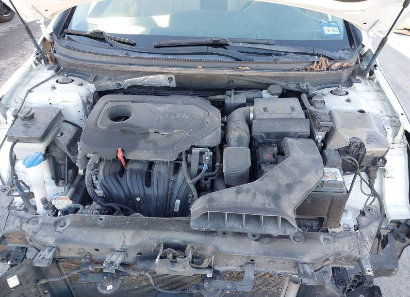 Photo 10 of 2019 Hyundai Sonata SEL (VIN 5NPE34AF4KH770196)