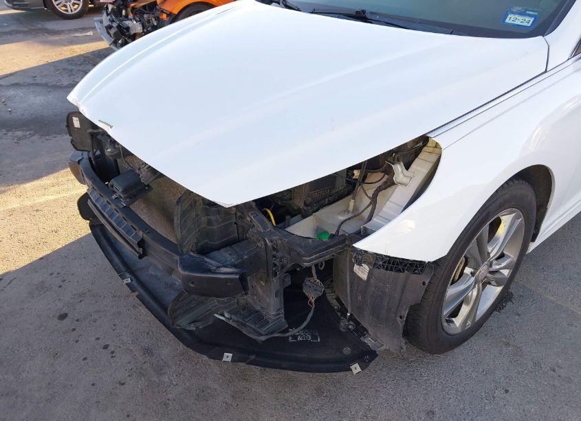 Photo 19 of 2019 Hyundai Sonata SEL (VIN 5NPE34AF4KH770196)