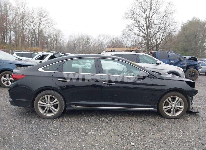 Photo 14 of 2019 Hyundai Sonata SPORT (VIN 5NPE34AF4KH786477)