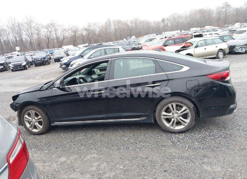 Photo 15 of 2019 Hyundai Sonata SPORT (VIN 5NPE34AF4KH786477)