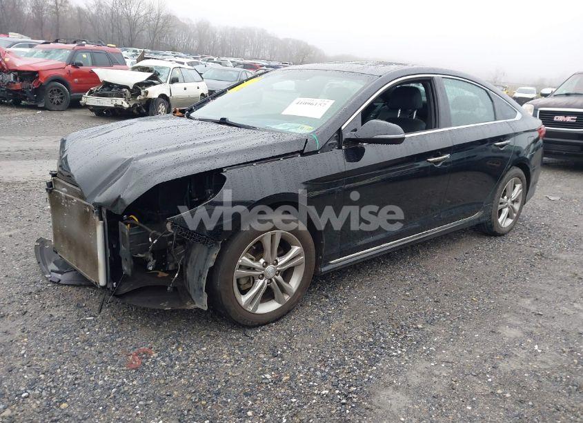 Photo 2 of 2019 Hyundai Sonata SPORT (VIN 5NPE34AF4KH786477)