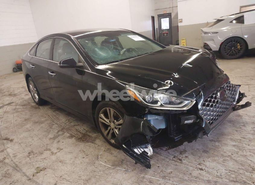 2019 Hyundai Sonata SEL (VIN 5NPE34AF4KH789783) main photo