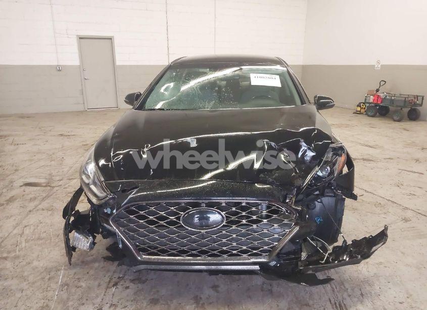 Photo 12 of 2019 Hyundai Sonata SEL (VIN 5NPE34AF4KH789783)