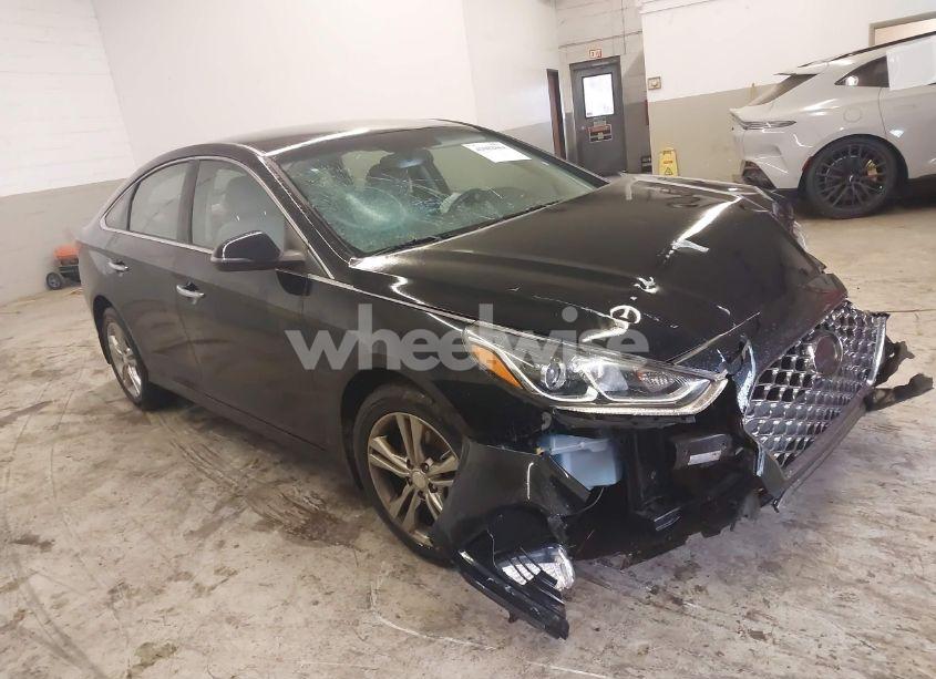 Photo 13 of 2019 Hyundai Sonata SEL (VIN 5NPE34AF4KH789783)