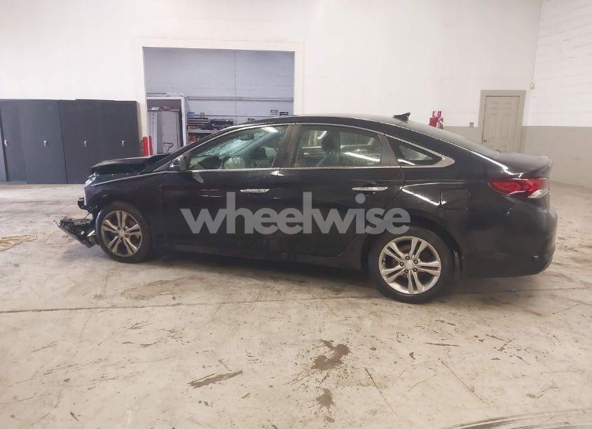 Photo 14 of 2019 Hyundai Sonata SEL (VIN 5NPE34AF4KH789783)