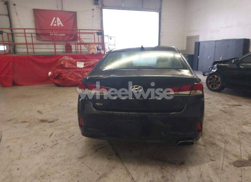 Photo 16 of 2019 Hyundai Sonata SEL (VIN 5NPE34AF4KH789783)