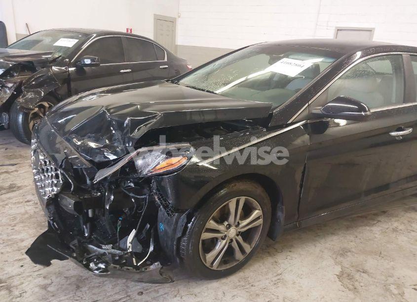Photo 18 of 2019 Hyundai Sonata SEL (VIN 5NPE34AF4KH789783)