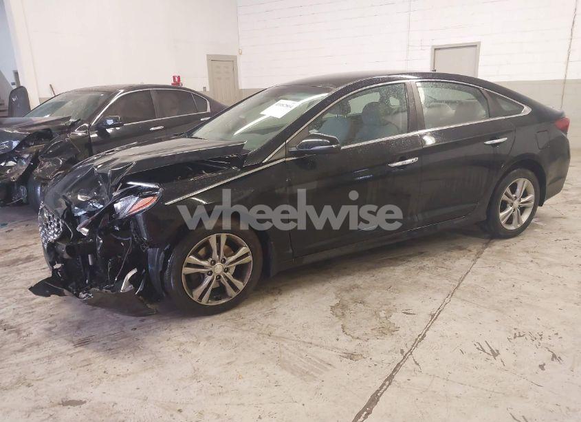 Photo 2 of 2019 Hyundai Sonata SEL (VIN 5NPE34AF4KH789783)