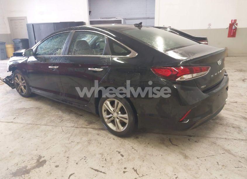 Photo 3 of 2019 Hyundai Sonata SEL (VIN 5NPE34AF4KH789783)