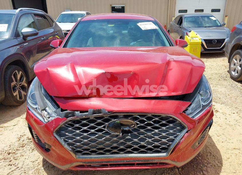 Photo 12 of 2019 Hyundai Sonata SEL (VIN 5NPE34AF4KH802628)