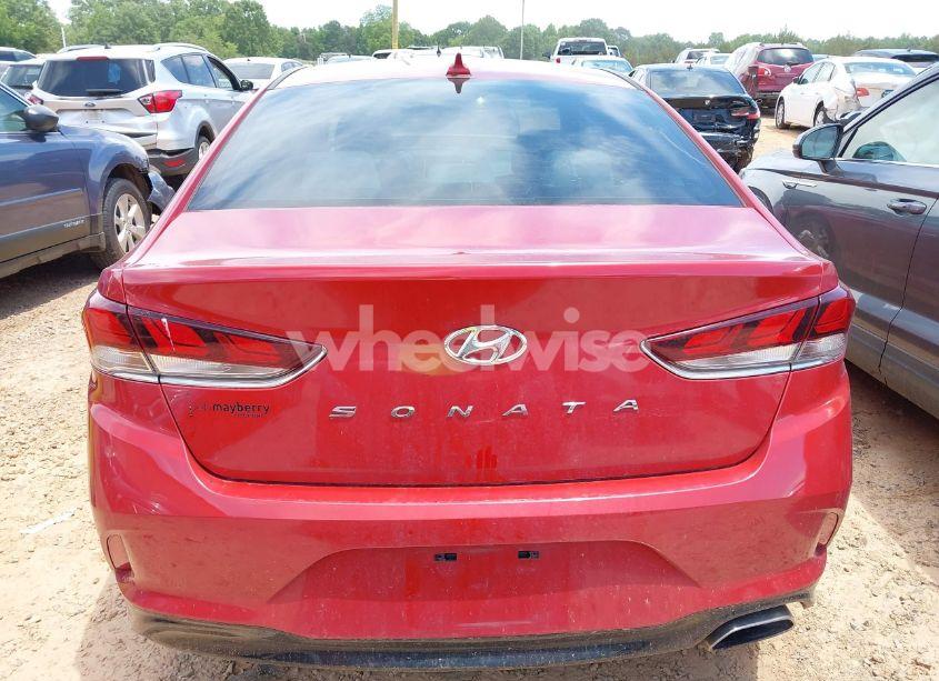Photo 16 of 2019 Hyundai Sonata SEL (VIN 5NPE34AF4KH802628)