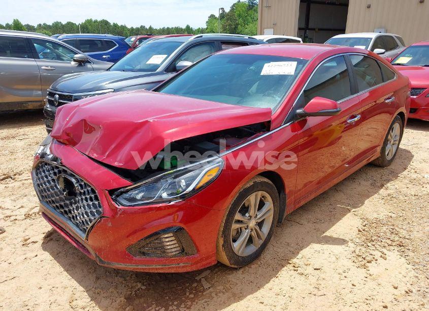 Photo 2 of 2019 Hyundai Sonata SEL (VIN 5NPE34AF4KH802628)