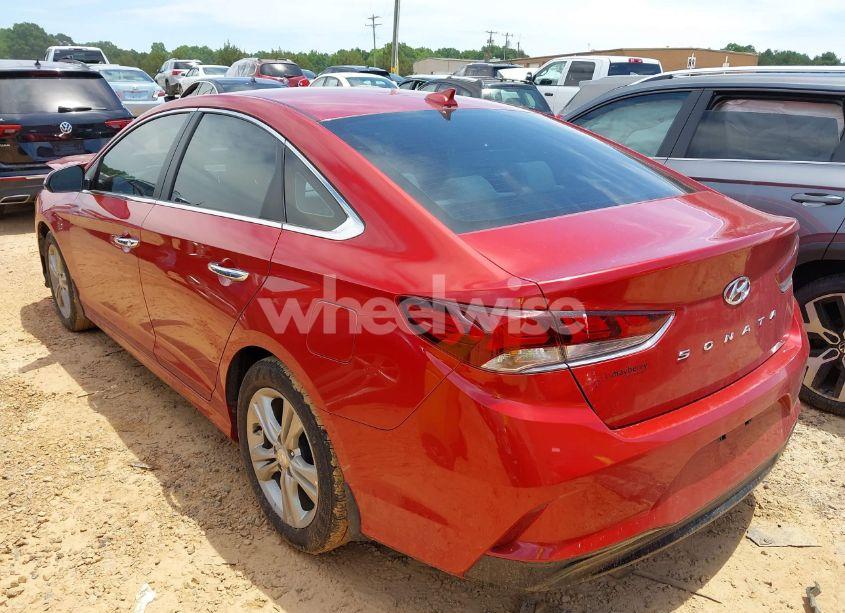 Photo 3 of 2019 Hyundai Sonata SEL (VIN 5NPE34AF4KH802628)