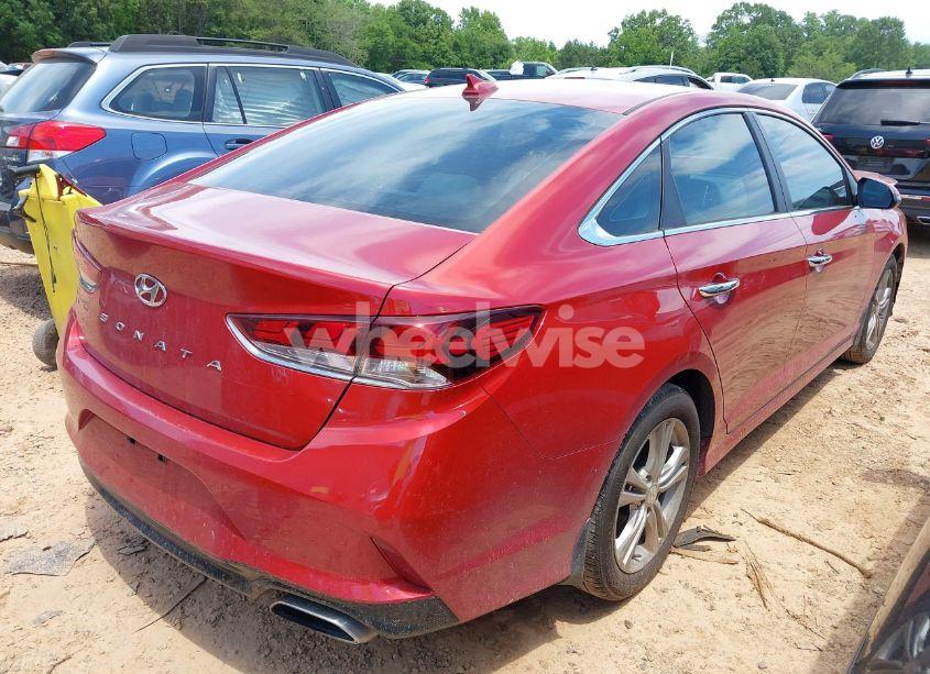 Photo 4 of 2019 Hyundai Sonata SEL (VIN 5NPE34AF4KH802628)
