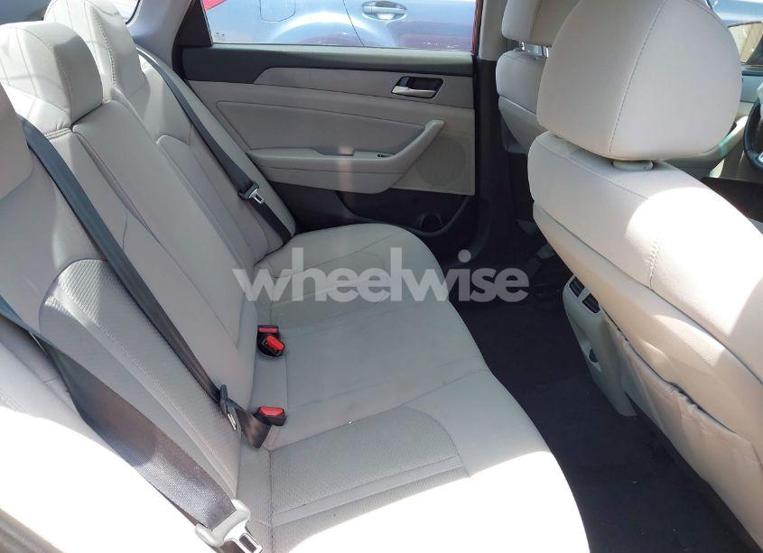 Photo 8 of 2019 Hyundai Sonata SEL (VIN 5NPE34AF4KH802628)