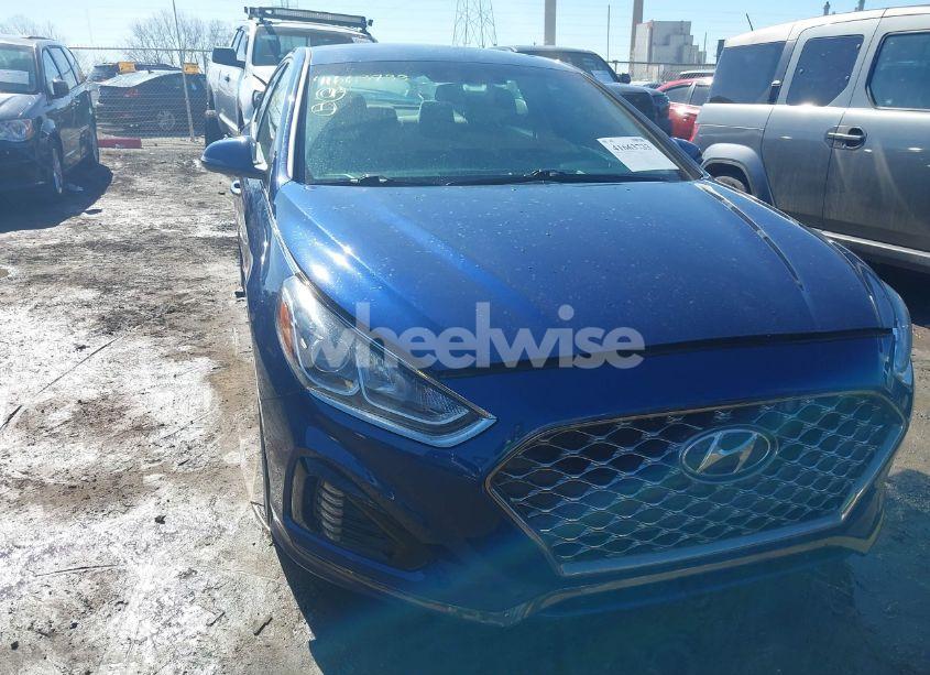 2019 Hyundai Sonata SEL (VIN 5NPE34AF4KH804430) main photo