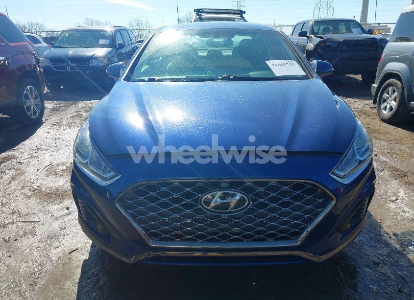 Photo 12 of 2019 Hyundai Sonata SEL (VIN 5NPE34AF4KH804430)