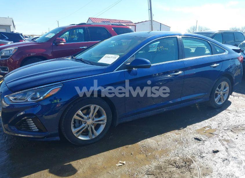 Photo 14 of 2019 Hyundai Sonata SEL (VIN 5NPE34AF4KH804430)