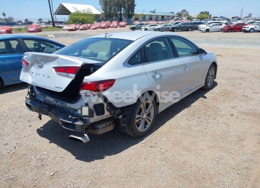 Photo 4 of 2019 Hyundai Sonata LIMITED (VIN 5NPE34AF4KH817775)