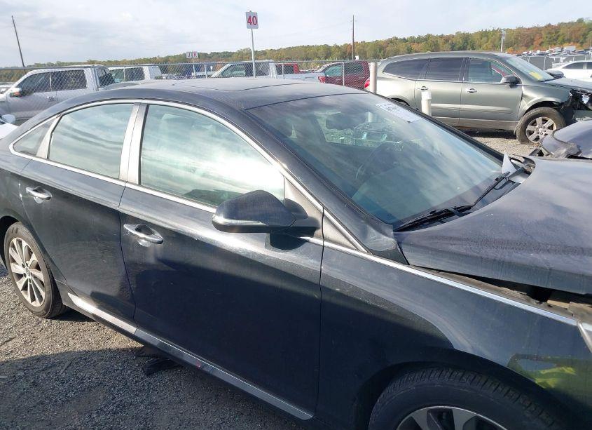 Photo 13 of 2017 Hyundai Sonata SPORT (VIN 5NPE34AF5HH448627)