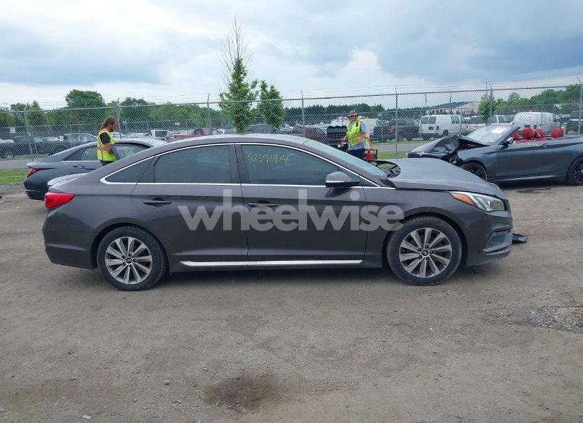 Photo 13 of 2017 Hyundai Sonata SPORT (VIN 5NPE34AF5HH459093)