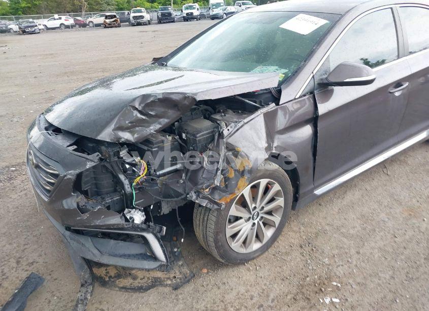 Photo 6 of 2017 Hyundai Sonata SPORT (VIN 5NPE34AF5HH459093)