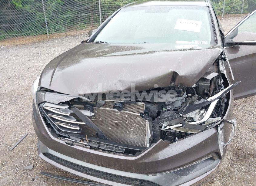 Photo 10 of 2017 Hyundai Sonata SPORT (VIN 5NPE34AF5HH460681)